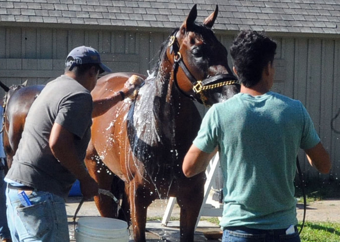 Immigration Coalition helping backstretch workers